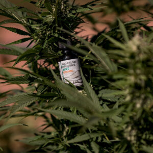 600mg CBD Oil  (LEMON) - Image 4