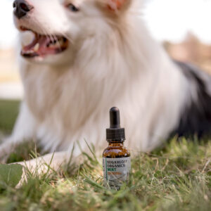 3000 mg CBD/CBG Oil (MINT) - Image 3